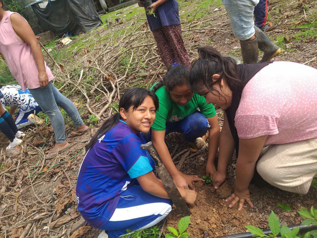 Estrategia regional "Sembrando un árbol"