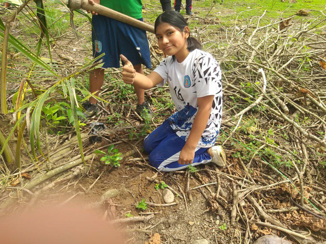 Estrategia regional "Sembrando un árbol"